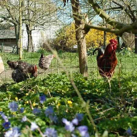 In Den Akker Holiday home Oudenaarde