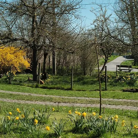 Casa vacanze In Den Akker