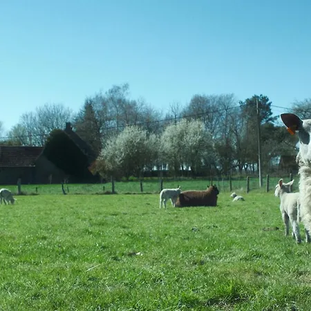 Casa vacanze In Den Akker Oudenaarde